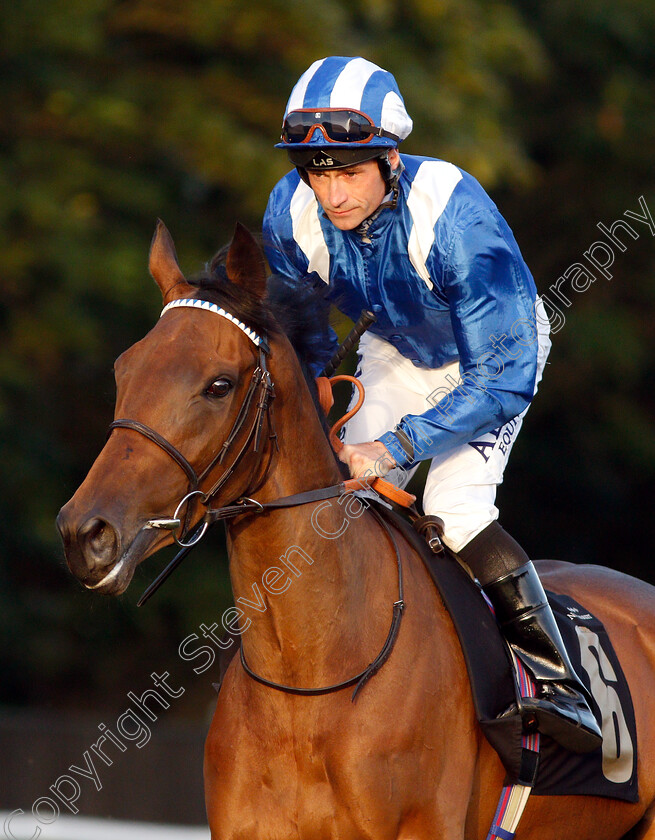 Ojooba-0002 
 OJOOBA (Dane O'Neill)
Newmarket 28 Jun 2019 - Pic Steven Cargill / Racingfotos.com