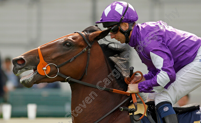 Royal-Rift-0001 
 ROYAL RIFT (Martin Dwyer)
Ascot 3 Sep 2021 - Pic Steven Cargill / Racingfotos.com