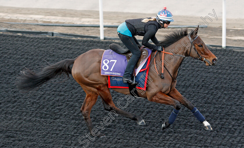 Singyoursong-0001 
 SINGYOURSONG, trained by David Simcock, exercising in preparation for The Dubai World Cup Carnival, Meydan 18 Jan 2018 - Pic Steven Cargill / Racingfotos.com