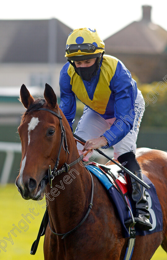 Diamond-And-Gold-0002 
 DIAMOND AND GOLD (Ryan Moore)
Yarmouth 20 Oct 2020 - Pic Steven Cargill / Racingfotos.com