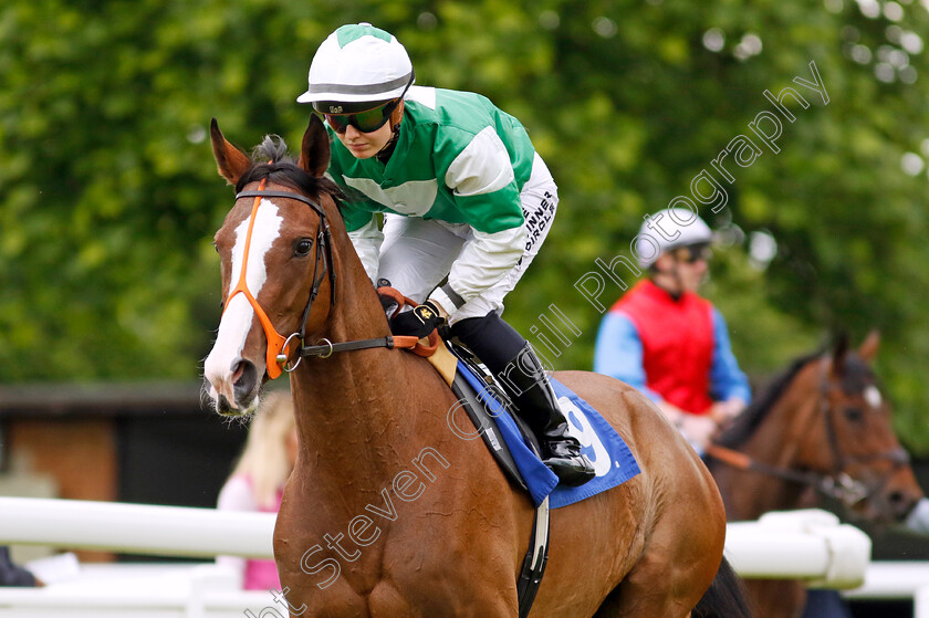 Song-Of-Appin-0001 
 SONG OF APPIN (Saffie Osborne)
Salisbury 16 Jun 2024 - Pic Steven Cargill / Racingfotos.com