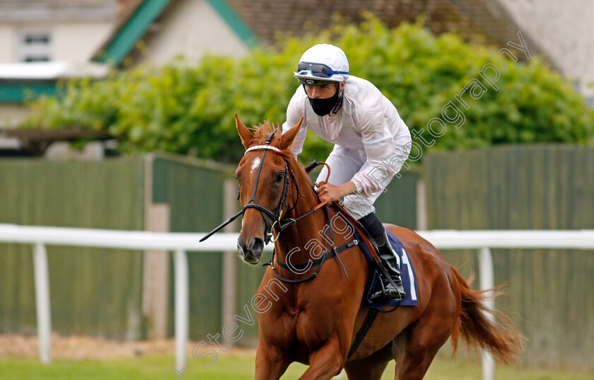 Beryl-The-Peril-0001 
 BERYL THE PERIL (Theodore Ladd)
Yarmouth 1 Jul 2021 - Pic Steven Cargill / Racingfotos.com