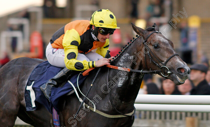 Lynwood-Gold-0003 
 LYNWOOD GOLD (P J McDonald) wins The Cambridge Art Fair Nursery Newmarket 25 Oct 2017 - Pic Steven Cargill / Racingfotos.com