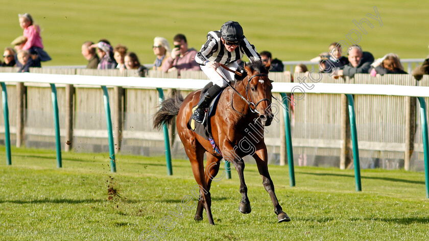 High-Fibre-0003 
 HIGH FIBRE (Rob Hornby) wins The 888sport What's Your Thinking Nursery
Newmarket 30 Oct 2021 - Pic Steven Cargill / Racingfotos.com