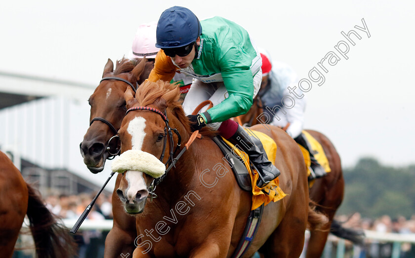 Shagraan-0001 
 SHAGRAAN (Oisin Murphy) wins The Betfair Be Friendly Handicap
Haydock 7 Sep 2024 - Pic Steven Cargill / Racingfotos.com