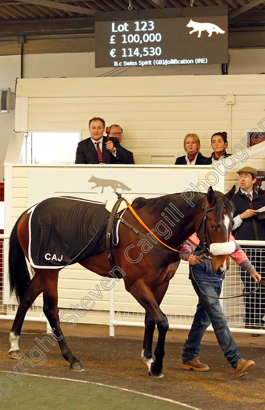 Lot-0123-colt-by-Swiss-Spirit-ex-Jollification-0001 
 2nd top lot; Lot 123 colt by Swiss Spirit ex Jollification sells for £100,000 at Tattersalls Ireland Breeze Up Sale 5 Apr 2018 - Pic Steven Cargill / Racingfotos.com