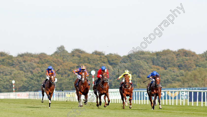 Threat-0001 
 THREAT (centre, Pat Dobbs) beats ROYAL CRUSADE (right) in The Pommery Champagne Stakes
Doncaster 14 Sep 2019 - Pic Steven Cargill / Racingfotos.com