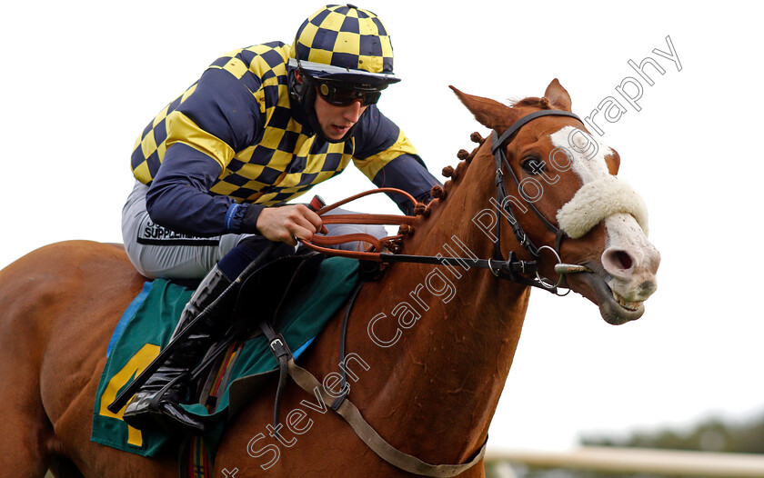 Wolf-Of-Windlesham-0006 
 WOLF OF WINDLESHAM (Ciaran Gethings) wins The Breeders' Cup On Sky Sports Racing Novices Chase
Fakenham 16 Oct 2020 - Pic Steven Cargill / Racingfotos.com