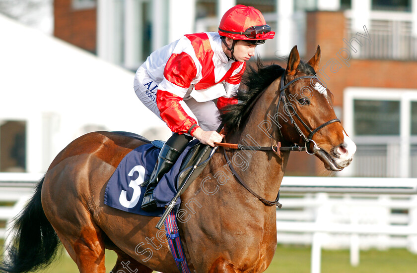 Fortune-And-Glory-0001 
 FORTUNE AND GLORY (Oisin Murphy) Lingfield 10 Jan 2018 - Pic Steven Cargill / Racingfotos.com