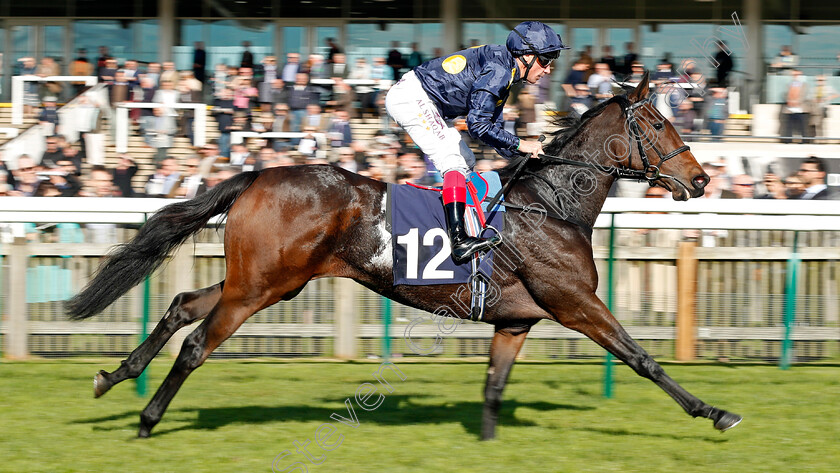 Wild-Impala-0005 
 WILD IMPALA (Frankie Dettori) wins The Rewards4racing Fillies Novice Median Auction Stakes Div1 Newmarket 25 Oct 2017 - Pic Steven Cargill / Racingfotos.com