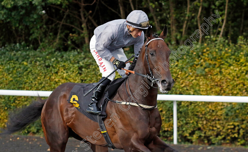 Night-Raider-0007 
 NIGHT RAIDER (Tom Marquand) winner of The ebfstallions.com Conditions Stakes
Kempton 2 Oct 2024 - Pic Steven Cargill / Racingfotos.com