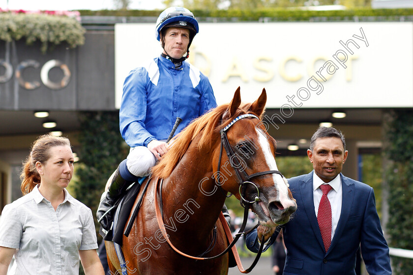 Tabdeed-0006 
 TABDEED (Jim Crowley) after The Original Harrogate Water Handicap
Ascot 5 Oct 2018 - Pic Steven Cargill / Racingfotos.com