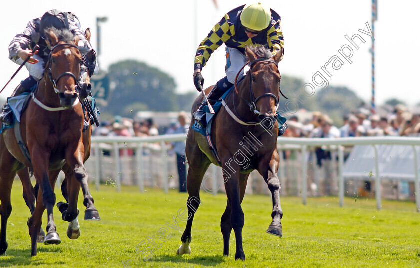 Celestial-Flight-0001 
 CELESTIAL FLIGHT (James Sullivan) wins The SKF Rous Selling Stakes
York 16 Jun 2023 - Pic Steven Cargill / Racingfotos.com