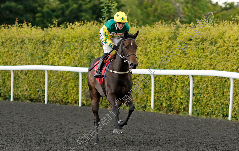 Tequila-Rose-0001 
 TEQUILA ROSE (Saffie Osborne)
Kempton 16 Jul 2024 - Pic Steven Cargill / Racingfotos.com