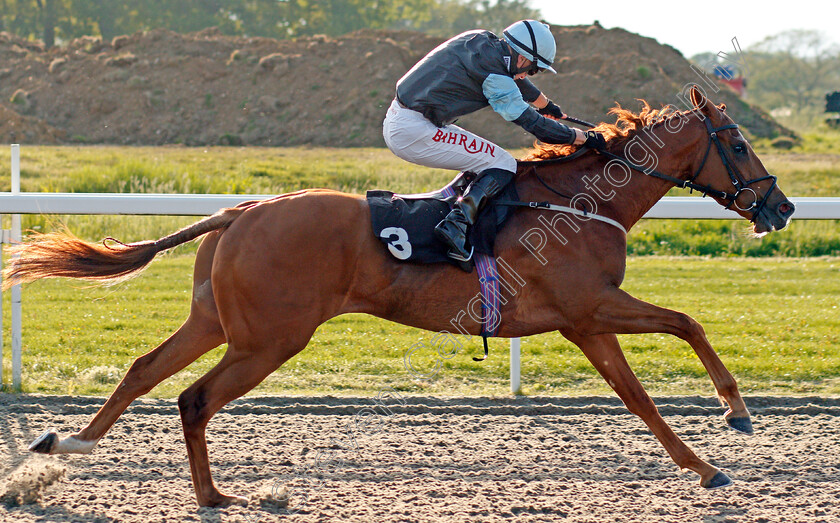 Scudamore-0003 
 SCUDAMORE (Tom Marquand) wins The tote.co.uk Free Streaming Every UK Race Handicap
Chelmsford 3 Jun 2021 - Pic Steven Cargill / Racingfotos.com