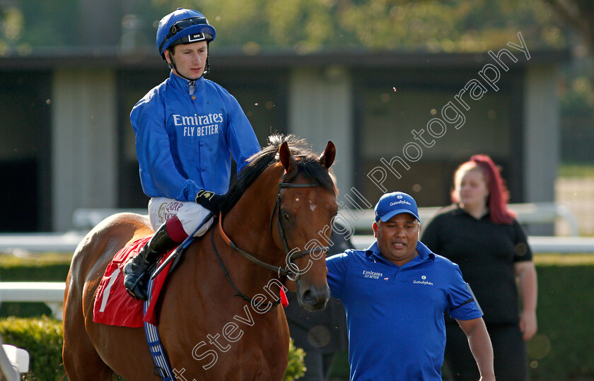 Mutafawwig-0002 
 MUTAFAWWIG (Oisin Murphy) winner of The Unibet Casino Deposit £10 Get £40 Bonus Novice Stakes Div1
Kempton 4 Aug 2021 - Pic Steven Cargill / Racingfotos.com