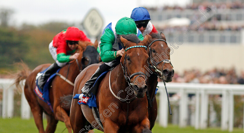 One-Master-0005 
 ONE MASTER (Martin Harley) wins The Totepool British EBF October Stakes Ascot 7 Oct 2017 - Pic Steven Cargill / Racingfotos.com