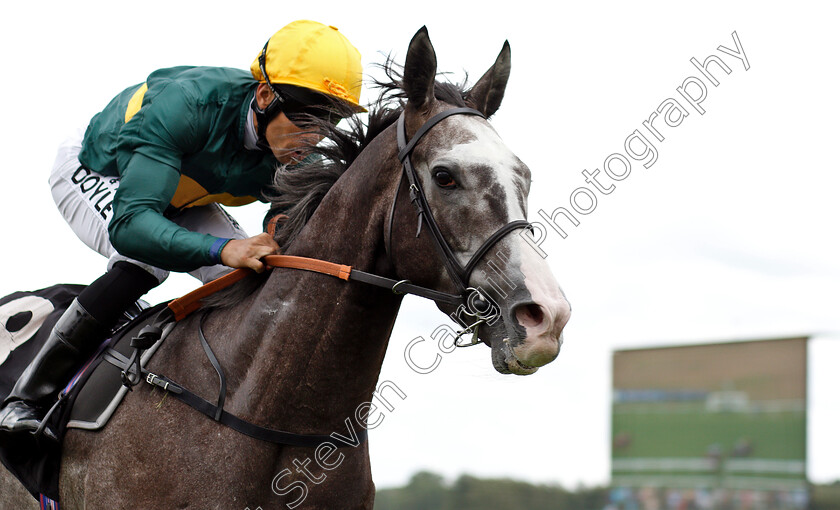 Chatham-House-0006 
 CHATHAM HOUSE (Sean Levey) wins The Donnington Grove Veterinary Surgery Handicap
Newbury 6 Aug 2019 - Pic Steven Cargill / Racingfotos.com