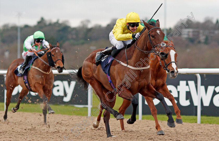 Summer-Icon-0006 
 SUMMER ICON (Charles Bishop) wins The 32Red.com Fillies Conditions Stakes Wolverhampton 4 Jan 2017 - Pic Steven Cargill / Racingfotos.com