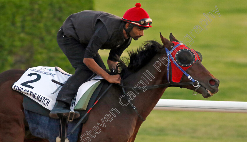 King-Of-The-Match-0001 
 KING OF THE MATCH training at the Dubai World Cup Carnival
Meydan 5 Jan 2023 - Pic Steven Cargill / Racingfotos.com