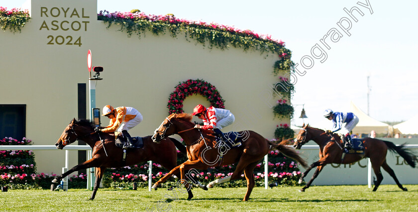 Jayarebe-0002 
 JAYAREBE (Sean Levey) beats KING'S GAMBIT (right) in The Hampton Court Stakes
Royal Ascot 20 Jun 2024 - Pic Steven Cargill / Racingfotos.com