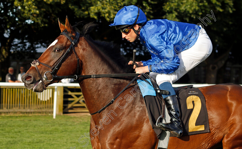 Beccali-0001 
 BECCALI (William Buick)
Newmarket 9 Aug 2024 - Pic Steven Cargill / Racingfotos.com