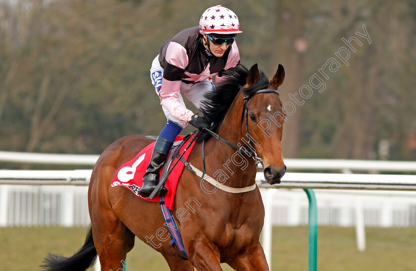 Sea-Fox-0001 
 SEA FOX (Fran Berry) Lingfield 3 Mar 2018 - Pic Steven Cargill / Racingfotos.com