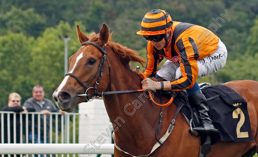 Mereside-Diva-0004 
 MERESIDE DIVA (David Probert) wins The Bet At racingtv.com Handicap
Nottingham 30 May 2023 - Pic Steven Cargill / Racingfotos.com