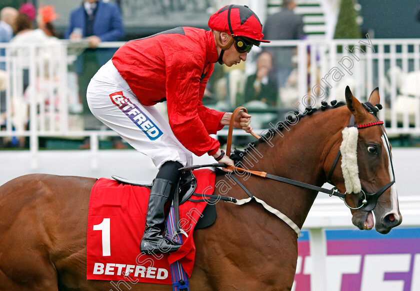 Assertively-0001 
 ASSERTIVELY (Sam James)
Epsom 31 May 2024 - Pic Steven Cargill / Racingfotos.com