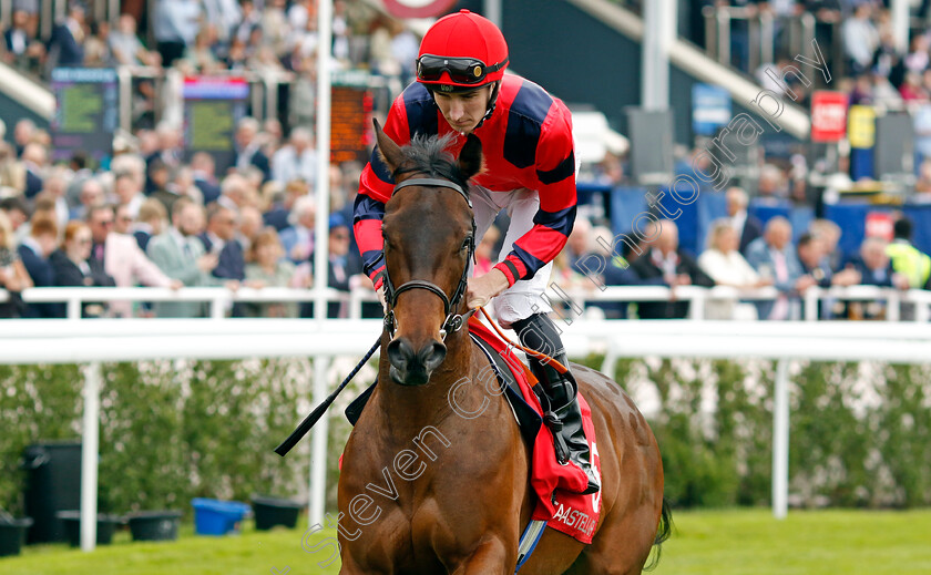 Daisy-Inthe-Breeze-0001 
 DAISY INTHE BREEZE (Hector Crouch)
Chester 8 May 2024 - Pic Steven Cargill / Racingfotos.com