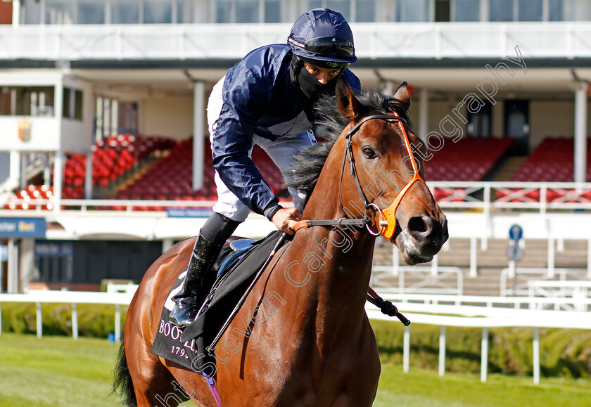 Fascinating-Shadow-0001 
 FASCINATING SHADOW (Sean Levey)
Chester 5 May 2021 - Pic Steven Cargill / Racingfotos.com