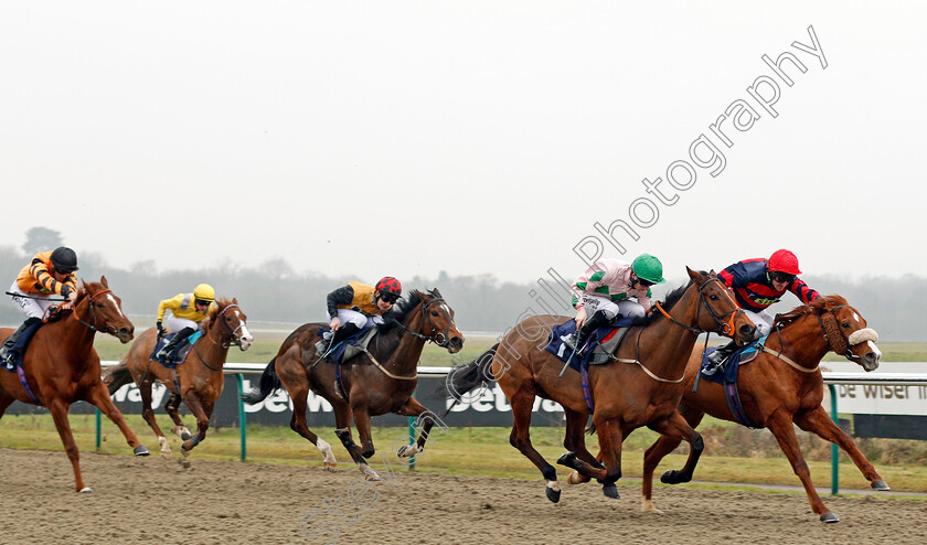 Dark-Alliance-0001 
 DARK ALLIANCE (2nd right, Edward Greatrex) beats MADRINHO (right) and ACCOMPLICE (centre) in The Play Slots At sunbets.co.uk/vegas Handicap Div1 Lingfield 12 Jan 2018 - Pic Steven Cargill / Racingfotos.com