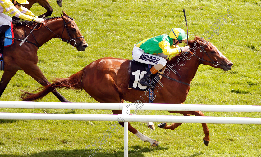 Keeper s-Choice-0005 
 KEEPER'S CHOICE (David Egan) wins The Comax Handicap
Newbury 14 Jun 2018 - Pic Steven Cargill / Racingfotos.com