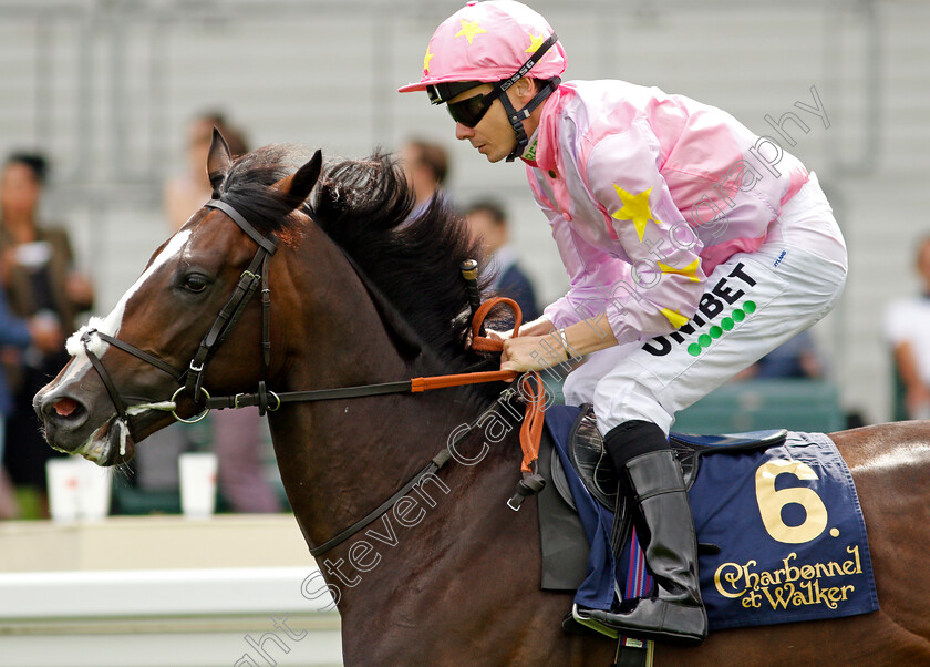 Travesuras-0001 
 TRAVESURAS (Jamie Spencer)
Ascot 3 Sep 2021 - Pic Steven Cargill / Racingfotos.com