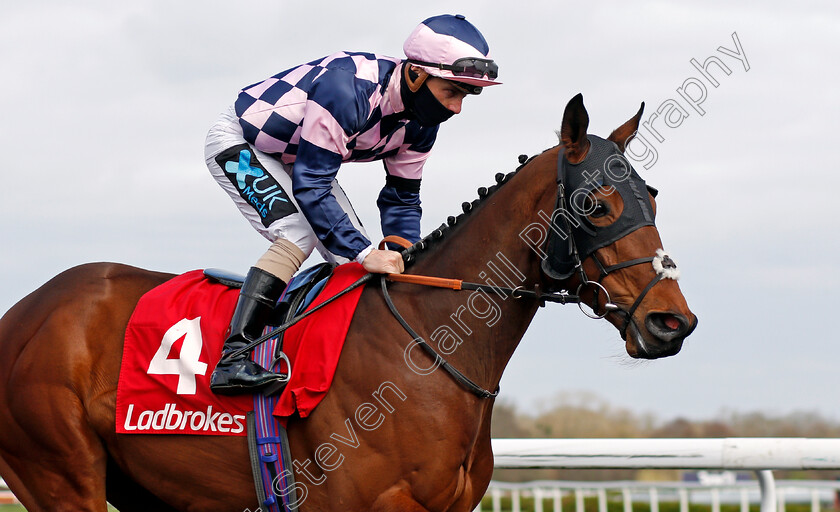 Dark-Pine-0002 
 DARK PINE (Stevie Donohoe)
Kempton 27 Mar 2021 - Pic Steven Cargill / Racingfotos.com