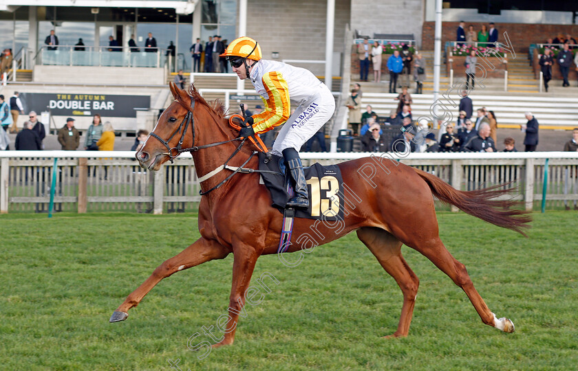 Twining 
 TWINING (Pat Cosgrave)
Newmarket 30 Oct 2021 - Pic Steven Cargill / Racingfotos.com