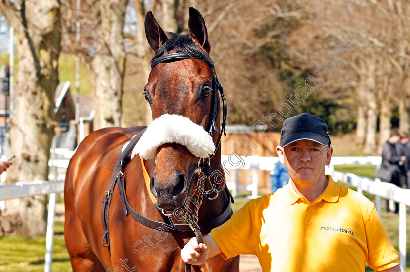 Lot-0044-filly-by-Kodiac-ex-Toppled-0002 
 Lot 044 filly by Kodiac ex Toppled sells for £58,000 at The Tattersalls Ireland Ascot Breeze Up Sale 5 Apr 2018 - Pic Steven Cargill / Racingfotos.com