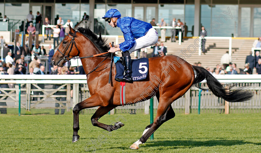 Morlock-0001 
 MORLOCK (James Doyle) Newmarket 28 Sep 2017 - Pic Steven Cargill / Racingfotos.com