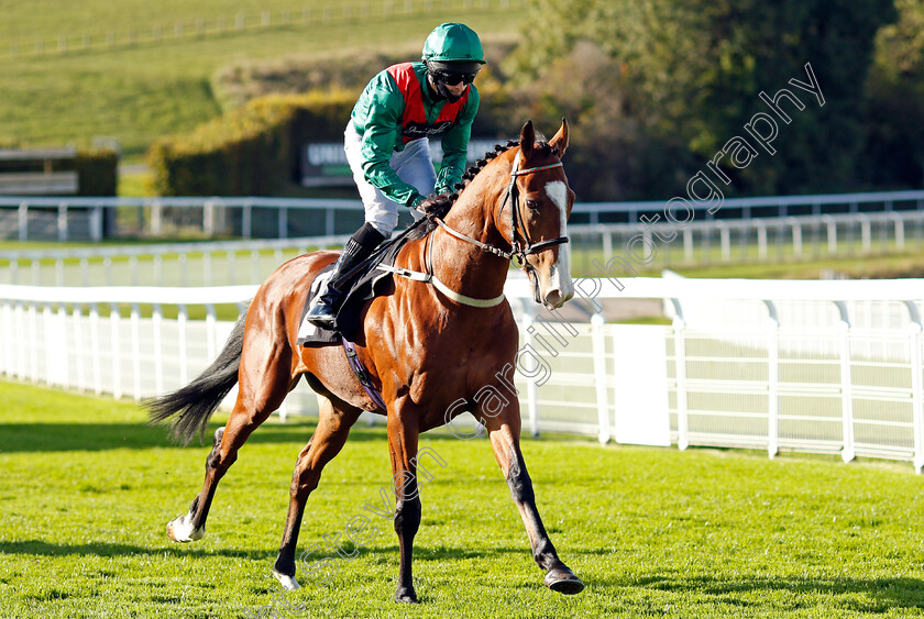 Downsman-0002 
 DOWNSMAN (Charlie Bennett)
Goodwood 11 Oct 2020 - Pic Steven Cargill / Racingfotos.com