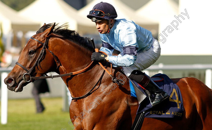 Defiance-0002 
 DEFIANCE (Silvestre De Sousa)
Royal Ascot 21 Jun 2024 - Pic Steven Cargill / Racingfotos.com