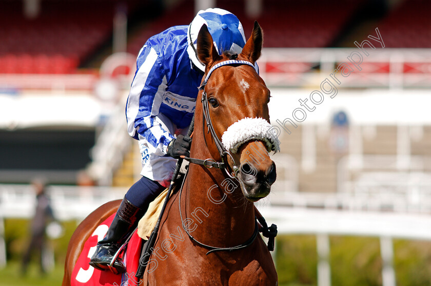 Foxes-Tales-0002 
 FOXES TALES (Silvestre De Sousa)
Chester 6 May 2021 - Pic Steven Cargill / Racingfotos.com