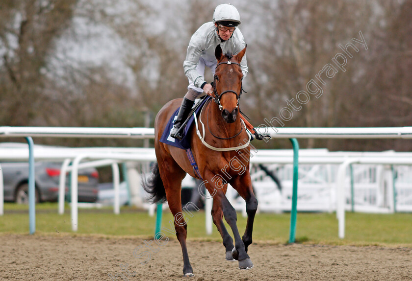 Firlinfeu-0001 
 FIRLINFEU (Joe Fanning) Lingfield 2 Feb 2018 - Pic Steven Cargill / Racingfotos.com