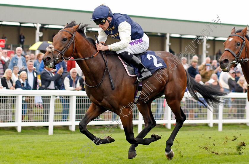 Phoenix-Passion-0001 
 PHOENIX PASSION (Kieran Shoemark) wins The Moss & co Trading Nursery
Yarmouth 21 Sep 2023 - Pic Steven Cargill / Racingfotos.com