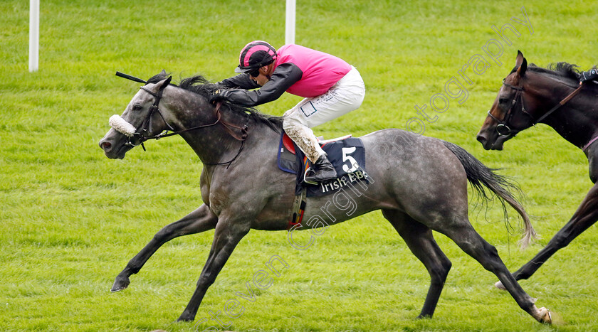 Big-Gossey-0002 
 BIG GOSSEY (Robert Whearty) wins The Irish Stallion Farms EBF Bold Lad Sprint Handicap
The Curragh 10 Sep 2023 - Pic Steven Cargill / Racingfotos.com