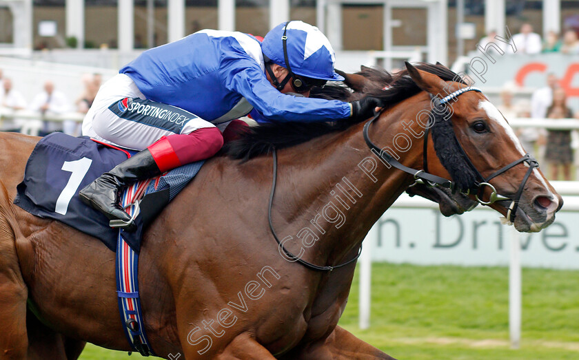 Harrovian-0003 
 HARROVIAN (Frankie Dettori) wins The Hilton Garden Inn Doncaster Conditions Stakes
Doncaster 9 Sep 2021 - Pic Steven Cargill / Racingfotos.com