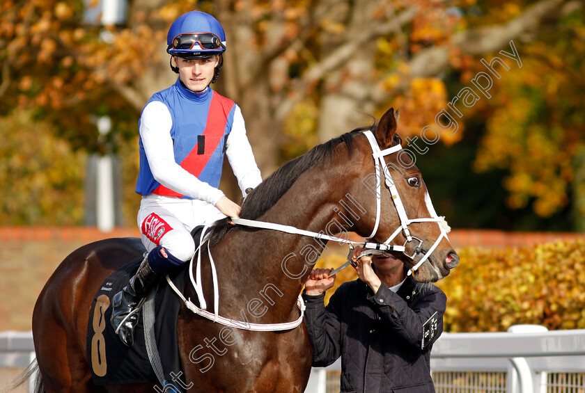 Betterment-0001 
 BETTERMENT (Tyler Heard)
Newmarket 19 Oct 2022 - Pic Steven Cargill / Racingfotos.com