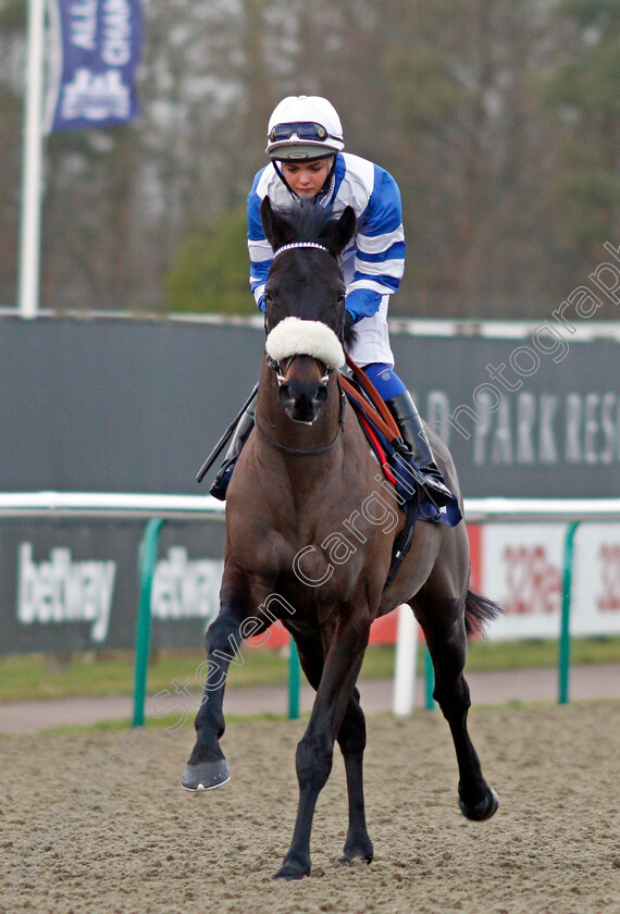 Zubayr-0002 
 ZUBAYR (Megan Nicholls) Lingfield 30 Dec 2017 - Pic Steven Cargill / Racingfotos.com