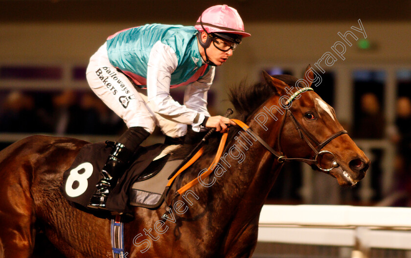 Summit-Reach-0006 
 SUMMIT REACH (Richard Kingscote) wins The Book Tickets At chelmsfordcityracecourse.com Novice Stakes Div1
Chelmsford 2 Jan 2020 - Pic Steven Cargill / Racingfotos.com