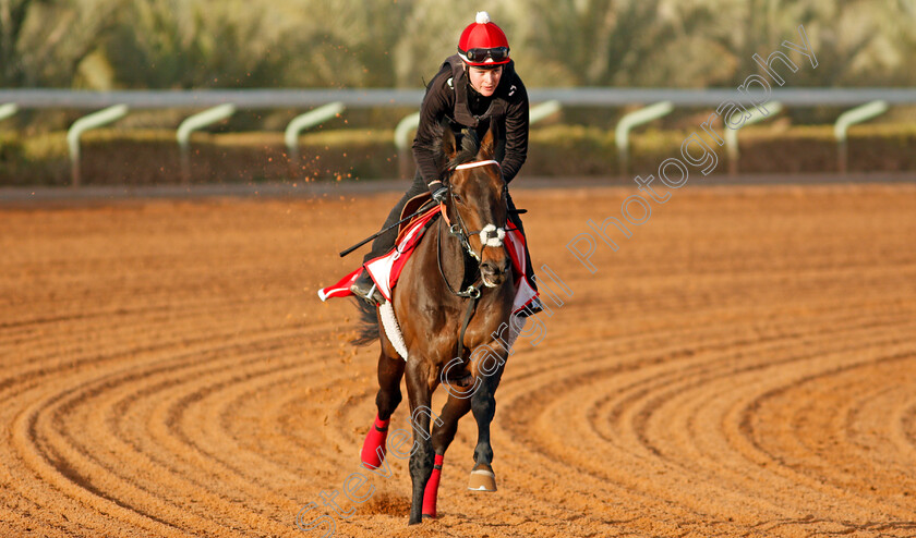 Prince-Of-Arran-0003 
 PRINCE OF ARRAN preparing for the Turf Handicap
Riyadh Racecourse, Kingdom of Saudi Arabia 26 Feb 2020 - Pic Steven Cargill / Racingfotos.com