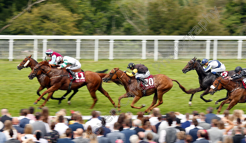 Poyle-Vinnie-0002 
 POYLE VINNIE (farside, James Sullivan) beats VENTUROUS (11) and TOMMY G (20) in The Qatar Stewards Sprint Handicap
Goodwood 3 Aug 2019 - Pic Steven Cargill / Racingfotos.com